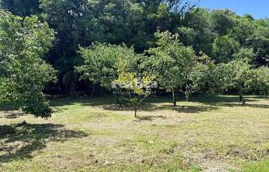 Imagem 6: TERRENO EM GRAMADO. 800m² de Área