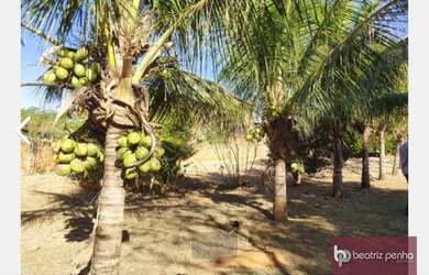 Imagem 3: Terreno à venda, 1060 m² por R$ 140.000,00 - Residencial Vista Alegre...