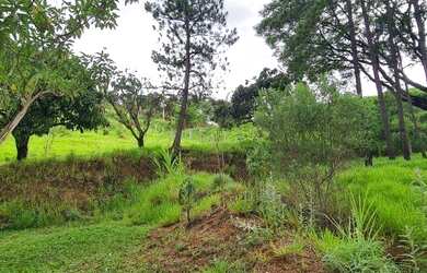 Imagem: O terreno possui 9.000m² de Área e está localizado em Portão