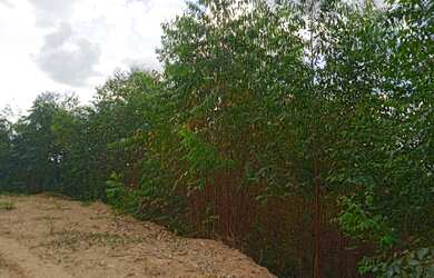 Imagem 12: Agende sua visita garanta o seu