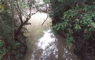 Imagem 7: Fazenda no município de Nobres à venda, 2780000 m² por R$ 5.560.000 - Vila Bom Jardim - No