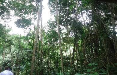 Imagem: A fazenda possui 475m² de Área e está localizado em Nova