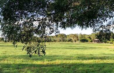 Imagem 10: Excelente Fazenda no Muni. de São Félix Do Araguaia e parte no Muni. de Luciara - MT