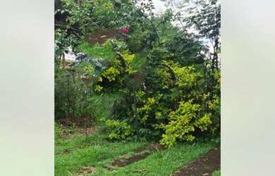 Imagem 1: Terreno à venda, 1010 m² por R$ 180.000,00 - Laranjal - Atibaia/SP