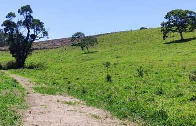 Imagem 2: 5000m² 30,000!!!