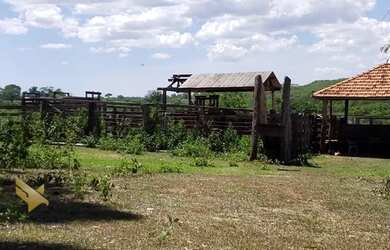 Imagem 13: FAZENDA EM CAMAPUA 15 MIL O HA