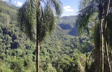 Imagem: A fazenda possui 20.000m² de Área e está localizado em Nova