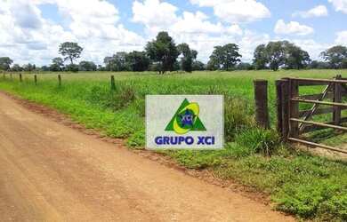 Imagem 11: Fazenda 4.772 Hectares a venda no município de Cocalinho-MT
