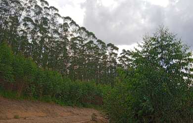 Imagem 15: Agende sua visita garanta o seu