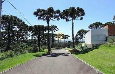 Imagem 4: Terreno à venda, 1001 m² por R$ 500.000,00 - Vila Fuck - Piraquara/PR