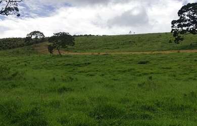 Imagem 6: Lote/Terreno para venda tem 500 metros quadrados em Jardim Palmira - Guarulhos...