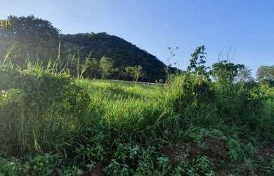 Imagem 15: Fazenda em Cáceres à venda, 17640000 m² por R$ 8.000.000 - Zona Rural...