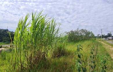 Imagem: O terreno possui 210m² de Área e está localizado em Conjunto