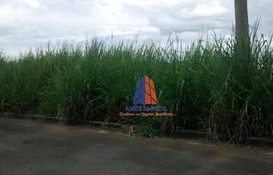 Imagem 2: Terreno à venda, 1281 m² por R$ 650.000,00 - Jardim Bertoni - Americana/SP