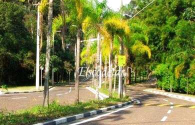 Imagem 4: Terreno à venda, 250 m² por R$ 930.000,00 - Tucuruvi - São Paulo/SP