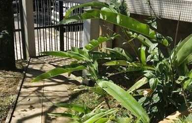 Imagem 2: Sobrado, 300 m² - venda por R$ 1.100.000,00 ou aluguel por R$ 7.000,00/mês...