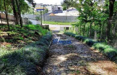 Imagem 3: Área Urbana 6.030m2 Almirante Tamandaré