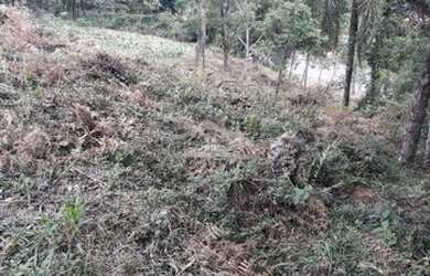 Imagem: O terreno possui 683m² de Área e está localizado em Gramado