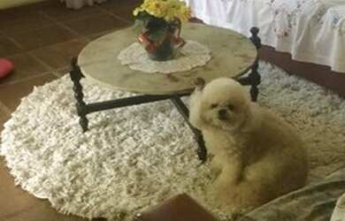 Imagem 7: Casa à venda, 120 m² por R$ 650.000,00 - Praia Grande - São Sebastião/SP