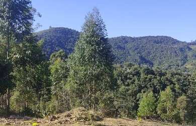 Imagem 2: Lote/Terreno para venda com 1000 metros quadrados em Santa luzia
