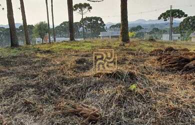 Imagem 10: Terreno à venda, 1001 m² por R$ 500.000,00 - Vila Fuck - Piraquara/PR