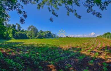 Imagem 2: Área à venda, Alto da Boa Vista - Foz do Iguaçu/PR