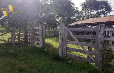 Imagem 10: Fazenda 65km de Cuiabá à venda, 4750000 m² por R$ 3.000.000 - Zona Rural - Nossa Senhora