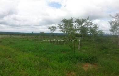 Imagem 14: Ótima Fazenda no Muni. de Itiquira a 150 km de Rondonópolis -MT