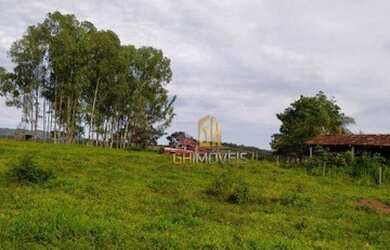 Imagem 16: Sítio à venda, 280784 m² por R$ 1.350.000,00 - Vila República - Goiás/GO