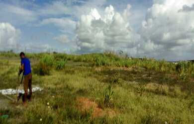 Imagem: O terreno possui 918m² de Área e está localizado em Stella