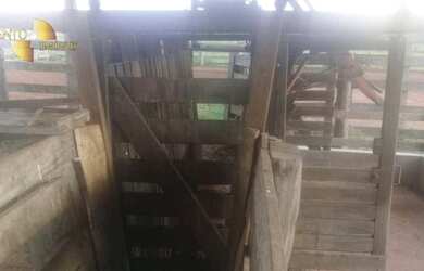 Imagem 4: Fazenda na região Santiago do Norte à venda, m² por R$ 29.999.000 -...