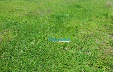 Imagem 8: Fazenda a venda - área real