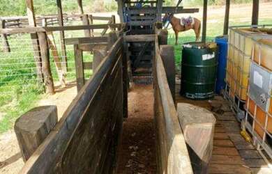 Imagem 9: Fazenda 4 km BR 070 à venda, 9000000 m² por R$ 12.600.000 - Zona Rural...