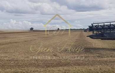 Imagem 13: Vendo ótima fazenda entre Nova Mutum e Campo Novo do Parecis