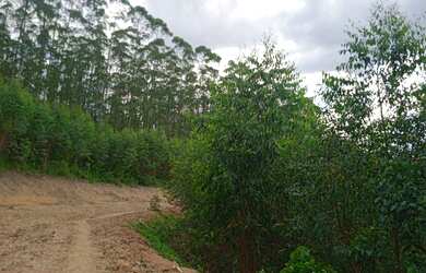 Imagem 16: Agende sua visita garanta o seu