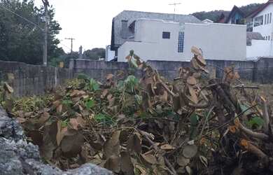 Imagem 10: Terreno à venda, 524 m² por R$ 800.000,00 - City América - São Paulo/SP