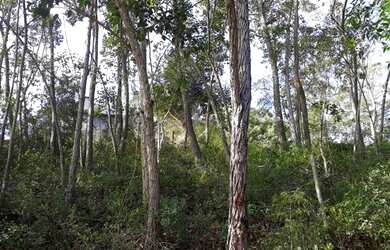 Imagem: O terreno possui 440m² de Área e está localizado em Imbituba