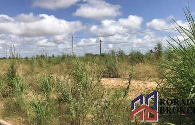 Imagem 1: O terreno tem 55 m que fazem frente para a RR 205