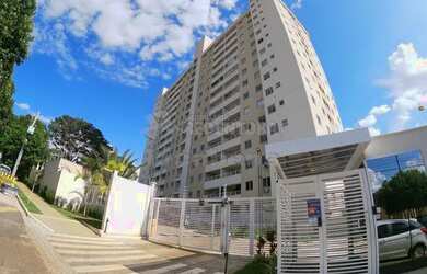 Imagem 10: Apartamento Padrão em São José do Rio Preto