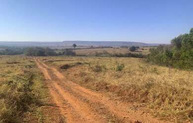 Imagem: A fazenda está localizado em Uberlândia, MG à venda por