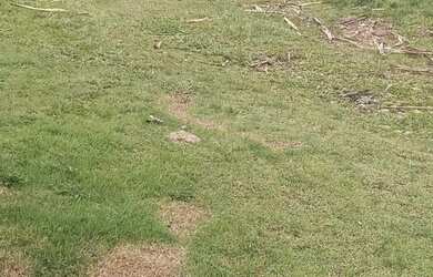 Imagem 14: Chacara Juquitiba Sp. 460m² de Área