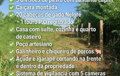 Imagem: A fazenda está localizado em Centenário, Boa Vista à venda