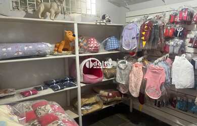 Imagem 11: Casa residencial com 4 quartos sendo 1 suíte disponível para venda no...