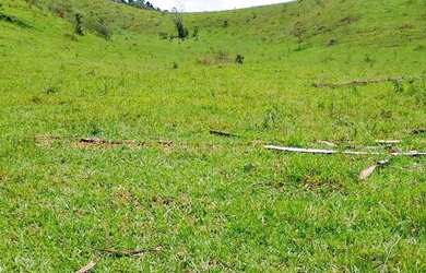 Imagem: A chácara possui 3.000m² de Área e está localizado em Jardim