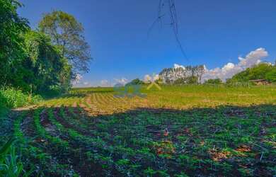 Imagem 3: Área à venda, Alto da Boa Vista - Foz do Iguaçu/PR