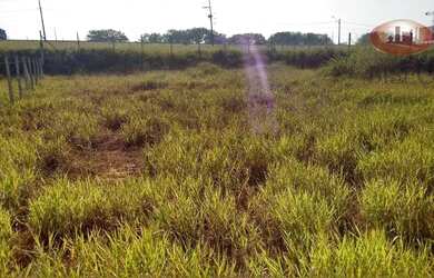 Imagem 3: Terreno à venda, 1006 m² por R$ 560.000,00 - Jardim Bertoni - Americana/SP