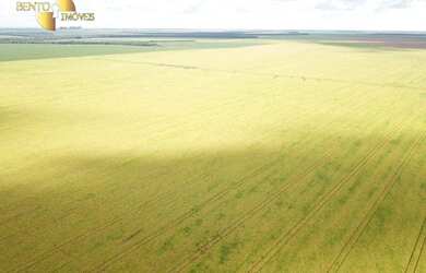 Imagem 6: Fazenda à venda, m² por R$ 150.000.000,00 - Zona Rural - Colider/MT