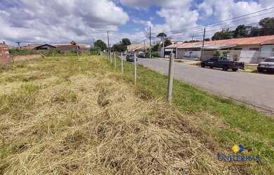 Imagem 11: Terreno à venda, 634 m² por R$ 280.000,00 - Roseira - São José dos...