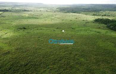 Imagem 3: Fazenda em Paragominas - PA