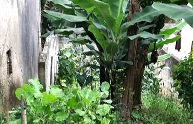 Imagem 4: Terreno à venda, 125 m² por R$ 80.000,00 - Jardim Pérola I - São Paulo/SP